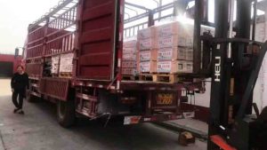 RHP1  Customer feedback