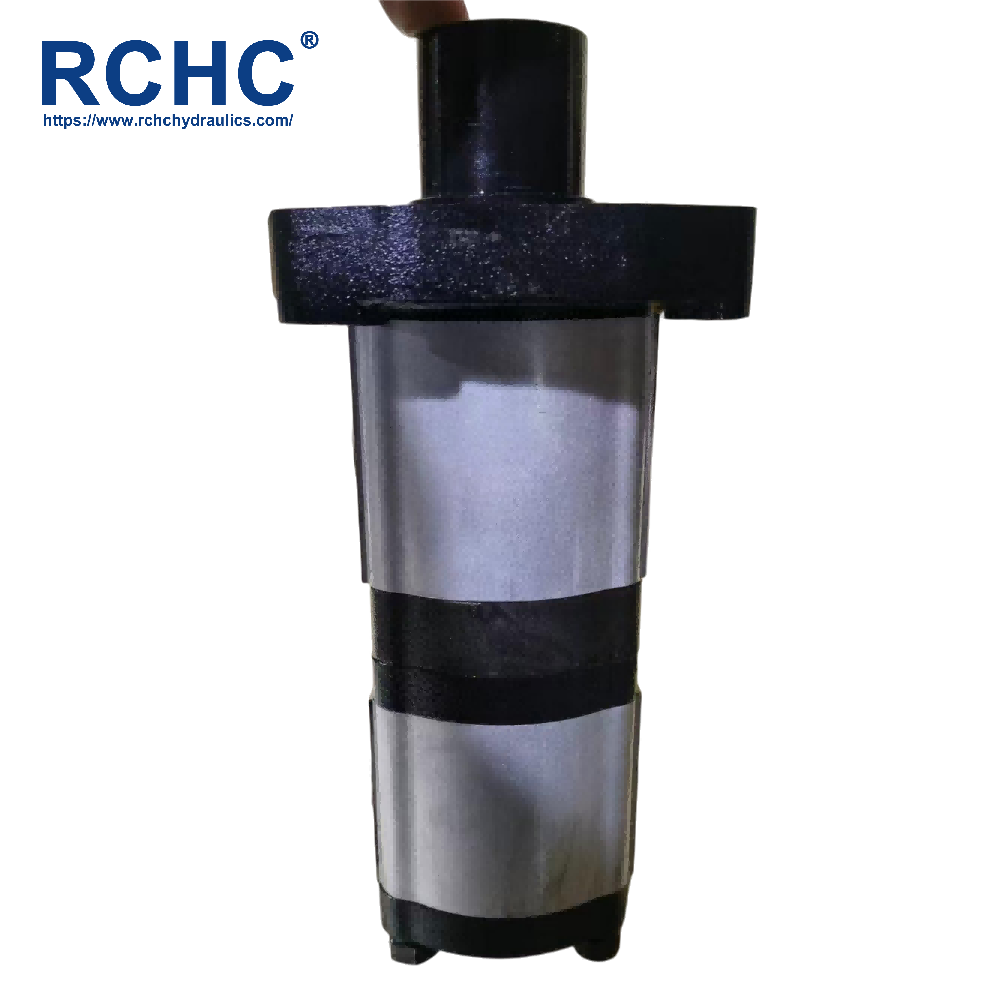 9510080740 80206610 Rexroth Hydraulic Gear Pump